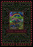 Visions chamaniques : arts de l'ayahuasca en amazonie peruvienne