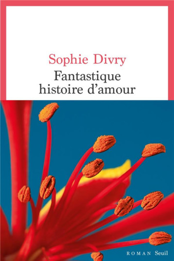 FANTASTIQUE HISTOIRE D'AMOUR - DIVRY SOPHIE - SEUIL