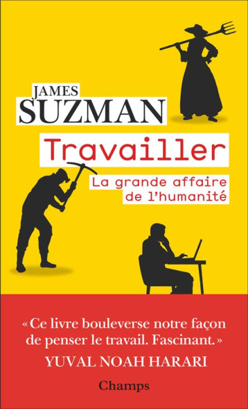 TRAVAILLER : LA GRANDE AFFAIRE DE L'HUMANITE - SUZMAN JAMES - FLAMMARION