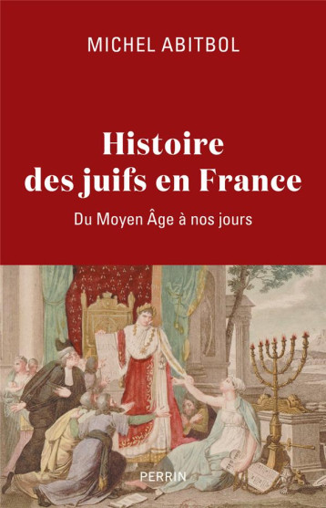 HISTOIRE DES JUIFS EN FRANCE : DU MOYEN ÂGE A NOS JOURS - ABITBOL MICHEL - PERRIN
