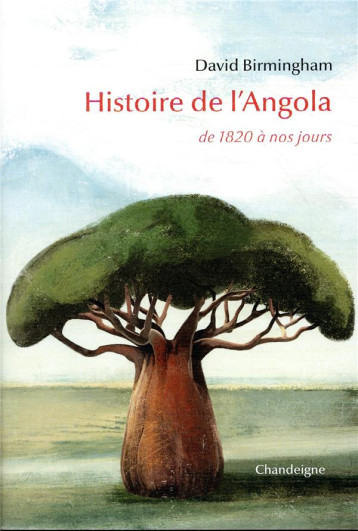 HISTOIRE DE L'ANGOLA, DE 1820 A NOS JOURS - BIRMINGHAM DAVID - CHANDEIGNE