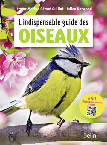 L'INDISPENSABLE GUIDE DES OISEAUX - MORIN JEROME G G. - DORLING KINDERS